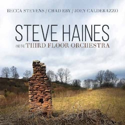 Steve Haines and the Third Floor Orchestra - Steve Haines and the Third Floor Orchestra  