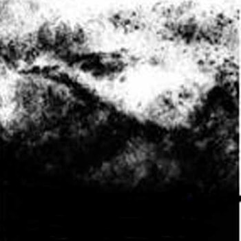 Anthony Laguerre - Myotis  