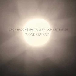Zach Brock / Matt Ulery / Jon Determyer - Wonderment  