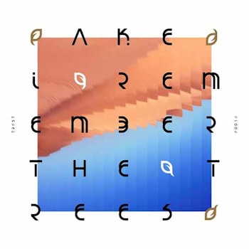 AKE - I Remember The Trees  