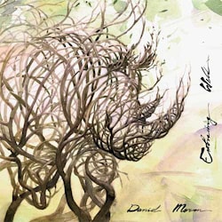 Daniel Meron - Embracing Wild  