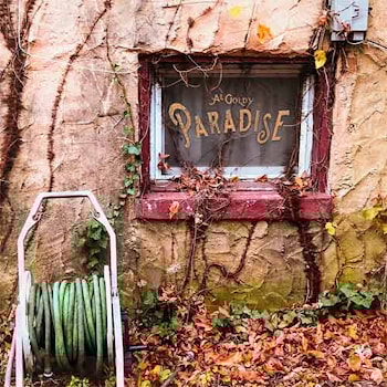 Al Gold - Al Gold’s Paradise  