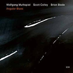 Wolfgang Muthspiel / Scott Colley / Brian Blade - Angular Blues  