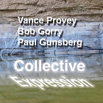 Vance Provey / Bob Gorry / Paul Gunsberg - Collective Expression  