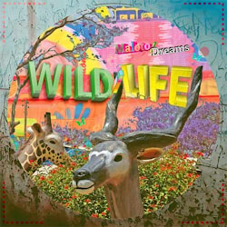 Wild/Life - Maloto/Dreams  