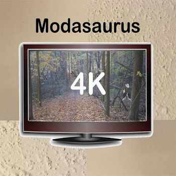 Modasaurus - 4K  
