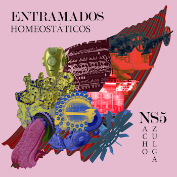Nacho Szulga 5 - Entramados Homeostáticos  