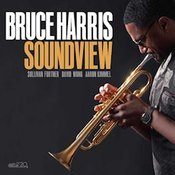 Bruce Harris - Soundview  