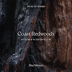 Elsa Nilsson - Coast Redwoods 41°32’09.8”N 124°04’35.5”W  