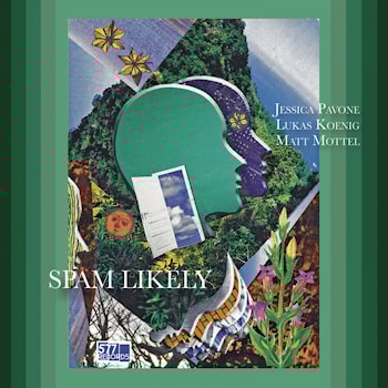 Jessica Pavone / Lukas Koenig / Matt Mottel - Spam Likely  