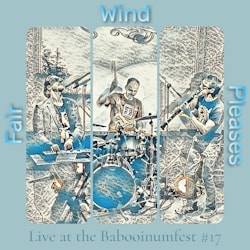 Fair Wind Pleases - Live at the Babooinumfest #17  