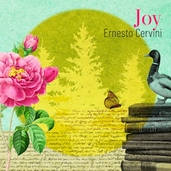 Ernesto Cervini - Joy  