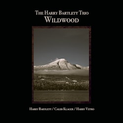 Harry Bartlett Trio - Wildwind  