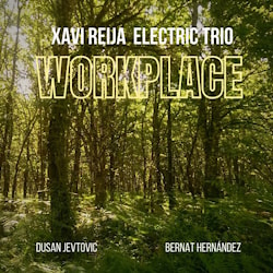Xavi Reija Electric Trio - Workplace  
