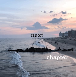 Michael Rabinowitz - Next Chapter  