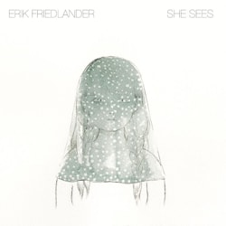 Erik Friedlander - She Sees  