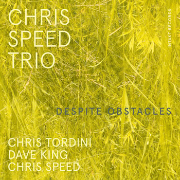 Chris Speed Trio - Despite Obstacles  