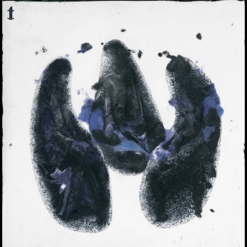 Roz Vitalis - Quia Nesciunt Quid Faciunt  