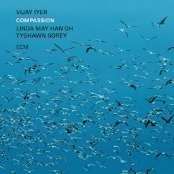 Vijay Iyer Trio - Compassion  