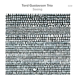 Tord Gustavsen Trio - Seeing  