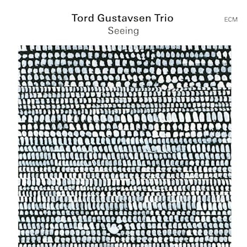 Tord Gustavsen Trio - Seeing  