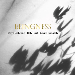 Dave Liebman / Billy Hart / Adam Rudolph - Beingness  