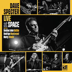 Dave Specter - Live at Space  