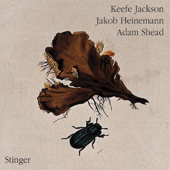 Keefe Jackson / Jakob Heinemann / Adam Shead - Stinger  